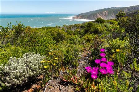 False - Vacant Land For Sale in Le Grand Estate, George, Western Cape - M122367