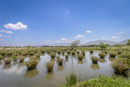 False - Vacant Land For Sale in The Islands Estates, Hartbeespoort, North West - M122463