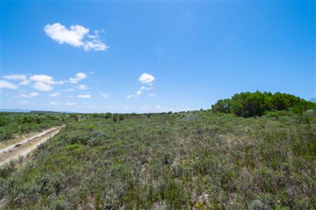 False - Vacant Land For Sale in Struisbaai, Western Cape - M122641