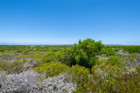 False - Vacant Land For Sale in Struisbaai, Western Cape - M122641