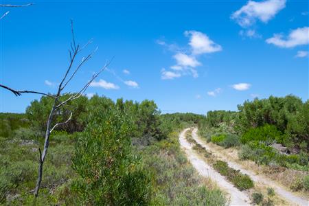 False - Vacant Land For Sale in Struisbaai, Western Cape - M122641