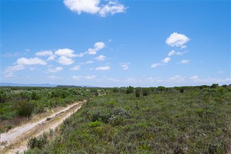 False - Vacant Land For Sale in Struisbaai, Western Cape - M122641