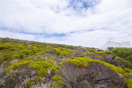 False - Vacant Land For Sale in Agulhas, Western Cape - M123189