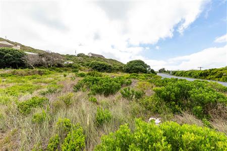 False - Vacant Land For Sale in Jongensfontein, Stilbaai, Western Cape - M123582