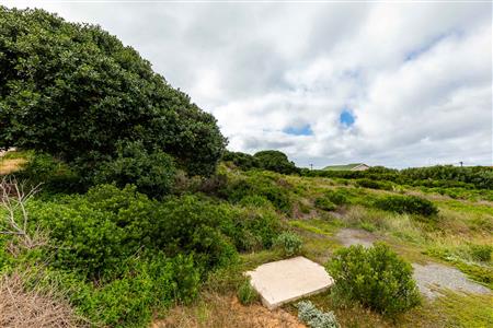 False - Vacant Land For Sale in Jongensfontein, Stilbaai, Western Cape - M123582