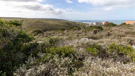 False - Vacant Land For Sale in Nautilus Bay, Mossel Bay, Western Cape - M123695
