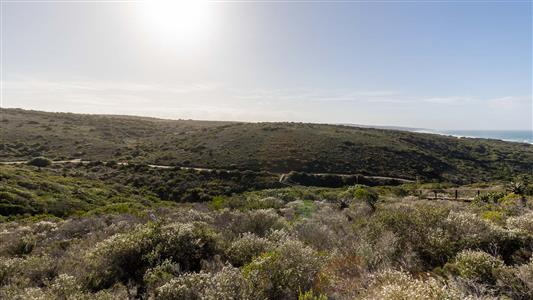 False - Vacant Land For Sale in Nautilus Bay, Mossel Bay, Western Cape - M123695