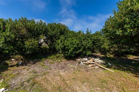 False - Vacant Land For Sale in Stilbaai Wes, Stilbaai, Western Cape - M123725