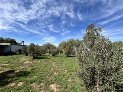 False - Vacant Land For Sale in McGregor, Western Cape - M123740