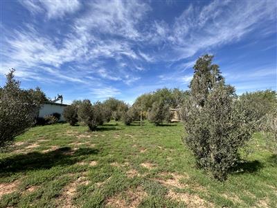 False - Vacant Land For Sale in McGregor, Western Cape - M123740