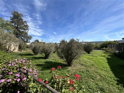False - Vacant Land For Sale in McGregor, Western Cape - M123740