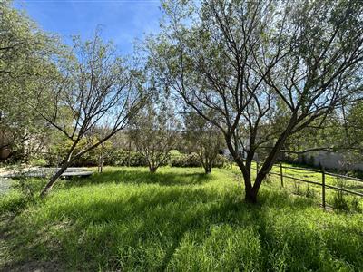 False - Vacant Land For Sale in McGregor, Western Cape - M123740