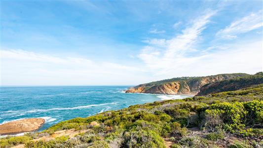 Vacant Land For Sale in Le Grand Estate, George, Western Cape - M123815