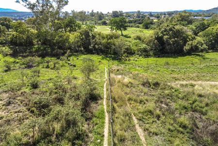 False - Vacant Land For Sale in Alice, Eastern Cape - M123811