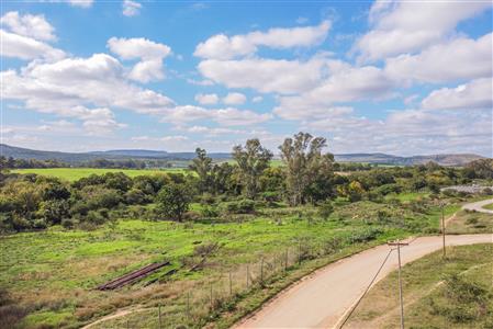 False - Vacant Land For Sale in Alice, Eastern Cape - M123811