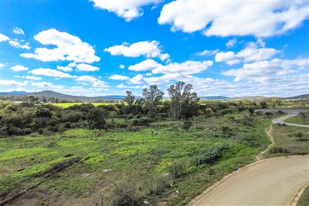 False - Vacant Land For Sale in Alice, Eastern Cape - M123811
