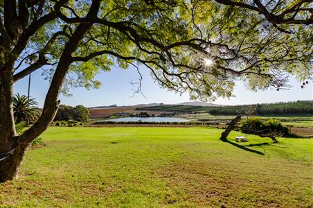 False - Farm For Sale in Stellenbosch Farms, Stellenbosch, Western Cape - M123800
