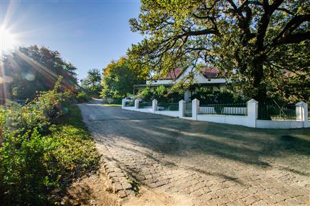 False - Farm For Sale in Stellenbosch Farms, Stellenbosch, Western Cape - M123800