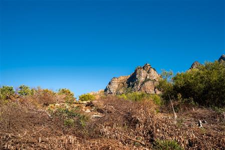 Vacant Land For Sale in Pniel, Stellenbosch, Western Cape - M10741