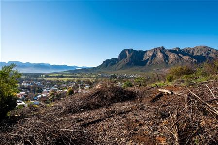Vacant Land For Sale in Pniel, Stellenbosch, Western Cape - M10741