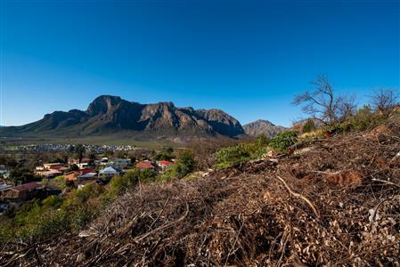 Vacant Land For Sale in Pniel, Stellenbosch, Western Cape - M10741
