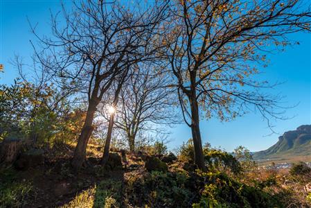 Vacant Land For Sale in Pniel, Stellenbosch, Western Cape - M10741