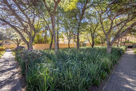 False - House withdrawn in Maroeladal, Randburg - M123973