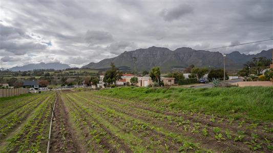 False - Vacant Land For Sale in Jamestown, Stellenbosch, Western Cape - M123979