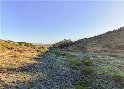 False - Vacant Land For Sale in Windmeul, Paarl, Western Cape - M124048