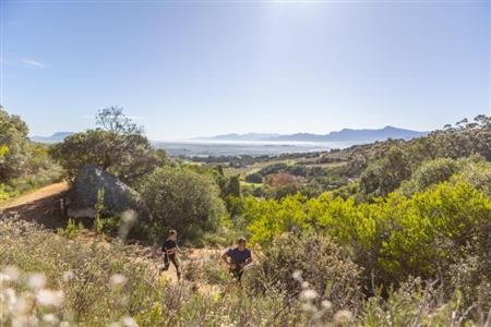 False - Vacant Land For Sale in Windmeul, Paarl, Western Cape - M124054