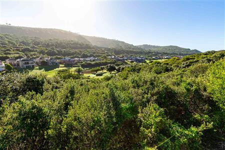 False - Vacant Land For Sale in Dolphin Creek Golf Estate, Groot Brakrivier, Western Cape - M124146
