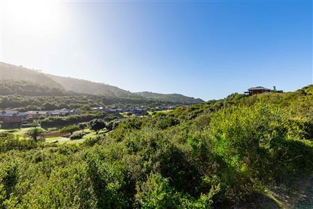False - Vacant Land For Sale in Dolphin Creek Golf Estate, Groot Brakrivier, Western Cape - M124146