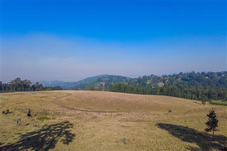 False - Vacant Land For Sale in Winterskloof, Hilton, KwaZulu Natal - M124392