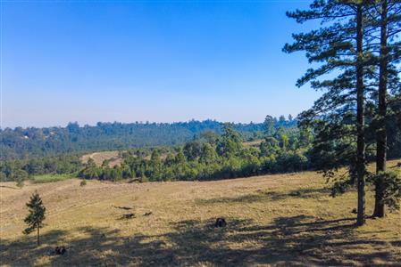 False - Vacant Land For Sale in Winterskloof, Hilton, KwaZulu Natal - M124392