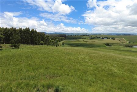 False - Vacant Land For Sale in Hilton Central, Hilton, KwaZulu Natal - M124391