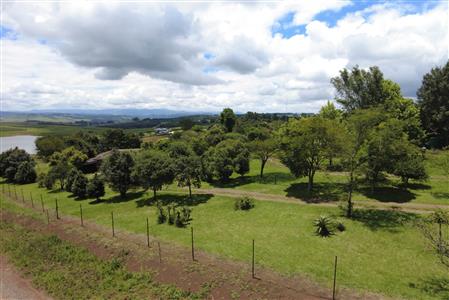 False - Vacant Land For Sale in Hilton Central, Hilton, KwaZulu Natal - M124391