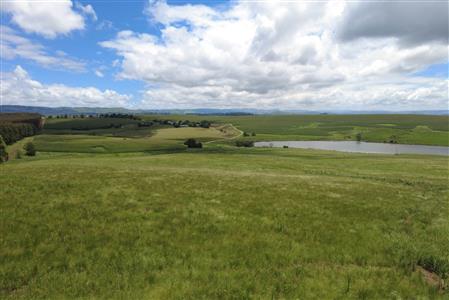 False - Vacant Land For Sale in Hilton Central, Hilton, KwaZulu Natal - M124391