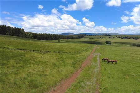 False - Vacant Land For Sale in Hilton Central, Hilton, KwaZulu Natal - M124391