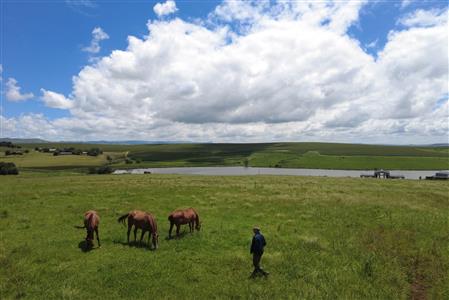 False - Vacant Land For Sale in Hilton Central, Hilton, KwaZulu Natal - M124391