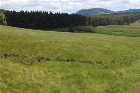 False - Vacant Land For Sale in Hilton Central, Hilton, KwaZulu Natal - M124391