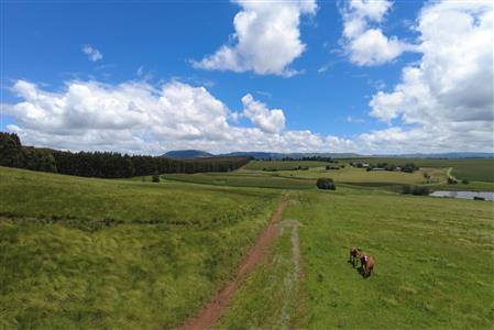 False - Vacant Land For Sale in Hilton Central, Hilton, KwaZulu Natal - M124391