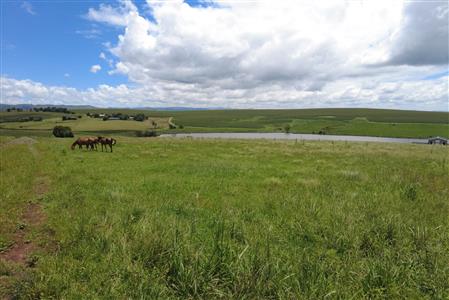 False - Vacant Land For Sale in Hilton Central, Hilton, KwaZulu Natal - M124391