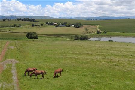 False - Vacant Land For Sale in Hilton Central, Hilton, KwaZulu Natal - M124391