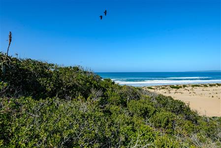 False - Vacant Land For Sale in Nautilus Bay, Mossel Bay, Western Cape - M124410