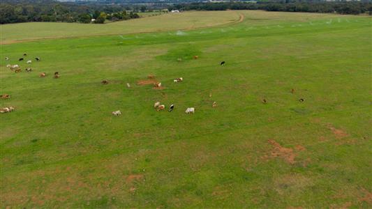 False - Farm for sale in Hekpoort, Krugersdorp - M124448