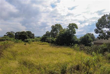 False - Vacant Land For Sale in Howick West, Howick, KwaZulu Natal - M124499