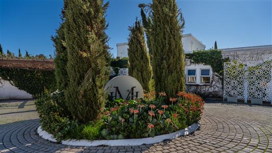 False - Guesthouse For Sale in Paradyskloof, Stellenbosch, Western Cape - M124546