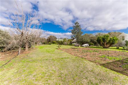 False - Vacant Land For Sale in McGregor, Western Cape - M124603