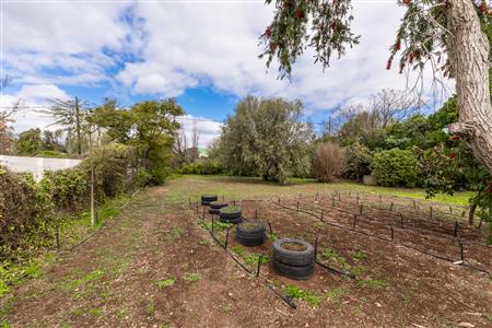 False - Vacant Land For Sale in McGregor, Western Cape - M124603