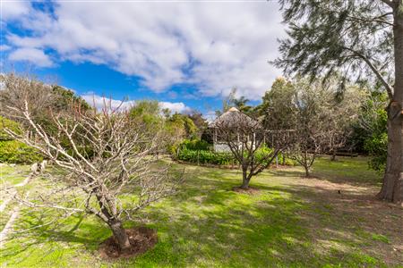 False - Vacant Land For Sale in McGregor, Western Cape - M124603